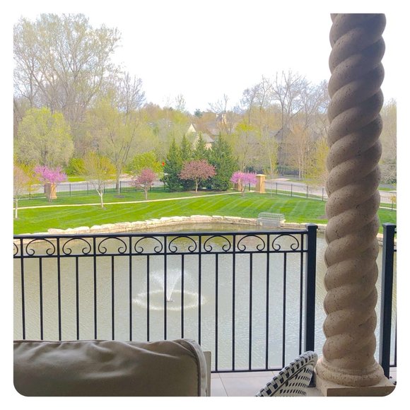 Meet your Posher, Ann - Picture 9 of 16